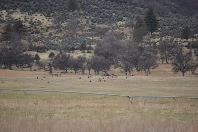 DSC_3075 (Large).JPG